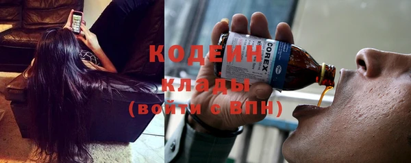 стаф Аркадак