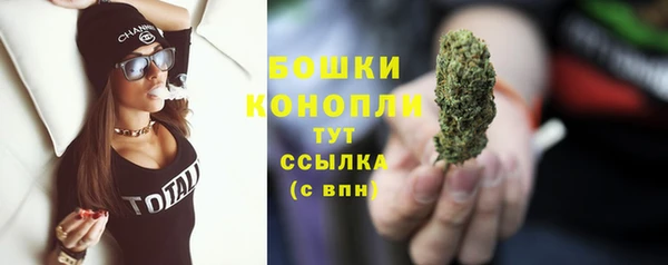 дмт Арсеньев
