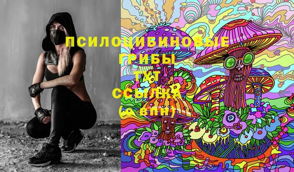 дмт Арсеньев