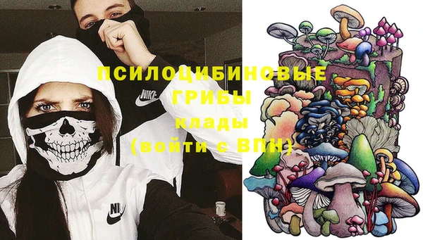 дмт Арсеньев