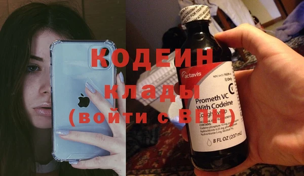 дмт Арсеньев